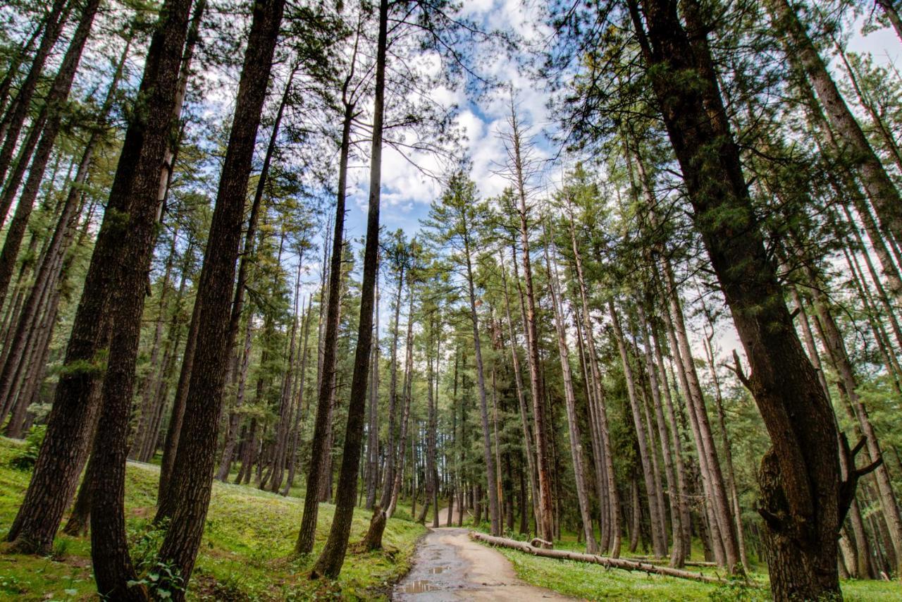Hotel Little Silver Pahalgam Bagian luar foto